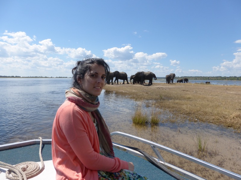 selfie elefanti botswana